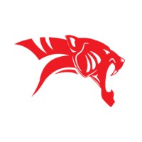 TigerLogic Africa logo - Similar company to Cybersync Hub