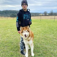 Dharma Dog Behavioral Wellness