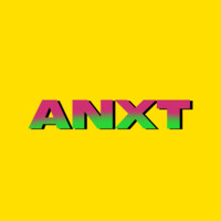 ANXT logo - Similar company to Lazy Ops