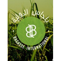 Bagasse International Bahrain logo - Similar company to Ar2 Me