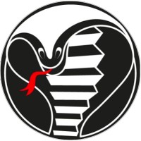 KOBRA logo - Similar company to Stepconcept