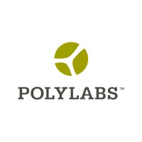 Polylabs logo - Similar company to Video Systems Srl