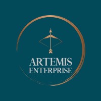 Artemis Enterprise logo - Similar company to Capital Cyber