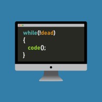 The Pro Programmer