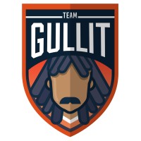 Team Gullit logo - Similar company to Mobile Viewpoint By Vislink