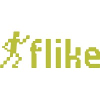 Flike llc logo - Similar company to Flike Ltd