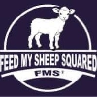 Feed My Sheep Squared Inc. logo - Similar company to Skillfulstaffing