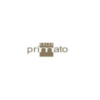 Calzificio Primato logo - Similar company to Artemisia Srl