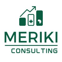 Meriki Consulting Limited logo - Similar company to Scale Inc