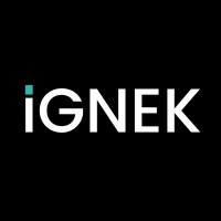 IGNEK logo - Similar company to Netpair