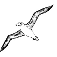 Albatross Carpentry logo - Similar company to New Heat Solutions