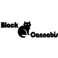 Black Cat Cannabis logo - Similar company to The Cat Pharm