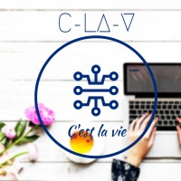 C-LA-V LLC logo - Similar company to Amconsoft
