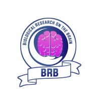 Biological Research on the Brain (BRB) logo - Similar company to Seqbee Bioscience