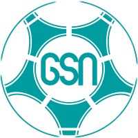 Global Scouting Network GSN logo - Similar company to Bl Ballers