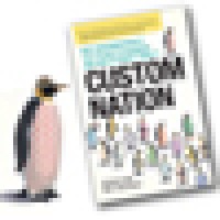 Custom Nation