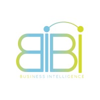 Bibisoft logo - Similar company to Mai Support