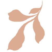 PATTERNISSE logo - Similar company to Bold Design