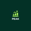 Peak Digital Marketing Agency logo - Similar company to Sa Media | Healthcare Digital Marketing Agency