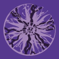 Plasma MDPI logo - Similar company to Appliedphys Mdpi