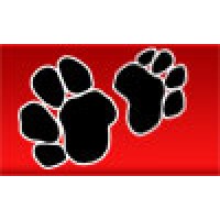 Windhaven Labradors