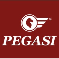 Pegasi logo - Similar company to Knowledge Inside