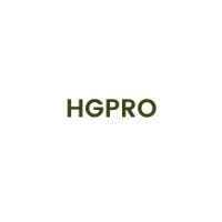 HGPRO Technologies Pvt. Ltd logo - Similar company to Virtual Vault Solutions Llp