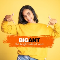 Big Ant Group
