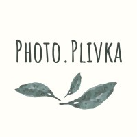 photo.plivka logo - Similar company to Paulo Navarra Photography