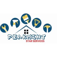 PEAKMINT STAR SERVICES LIMITED logo - Similar company to E-Bitz