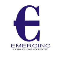 Emerging Consultancy Services India logo - Similar company to Emerging Consulting Group