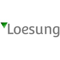Loesung logo - Similar company to Special Operations Charity Network