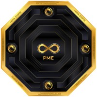 PME META EARTH logo - Similar company to Msamex Cryptocurrency Exchange Oü