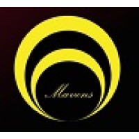 Mavens Soft Tech logo - Similar company to Vsr2 Limited