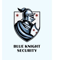 Blue Knight Security Solutions logo - Similar company to Dataclover