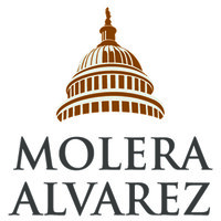 Molera Alvarez logo - Similar company to Veridus Llc