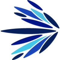 NVX Capital logo - Similar company to Nvx - Nacionalvox