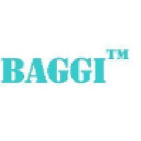 BAGGI ® B.A.G.G.I. Srl logo - Similar company to B.R.I.D.G.E. Engineering Srl