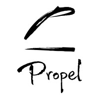 Propel Capital logo - Similar company to Expert Mortgages