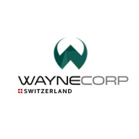 Wayne Corp. Sagl logo - Similar company to Mt Diffusion