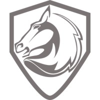 Pegasus Bloodstock logo - Similar company to Novanox Group Limited