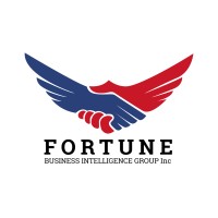 Fortune Business Intelligence Group Inc. logo - Similar company to Dataxpander