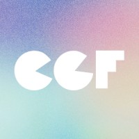 CCF Children Cancer Foundation logo - Similar company to Radio Teddy