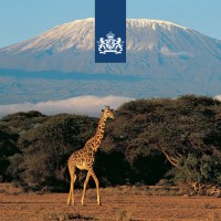 Embassy of the Kingdom of the Netherlands in Tanzania logo - Similar company to Agcot Centre