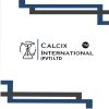 Calcix International (Pvt.) Limited logo - Similar company to Linked Things