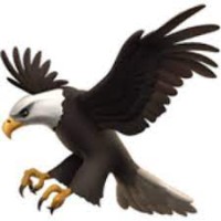 Eagle Eye Newsletter logo - Similar company to Flame Bearers