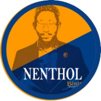 NUGLOZE ENTREPRISE HOLLAND BV SARL logo - Similar company to Adetoro Solutions D'Entreprise Limited