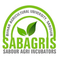 SABAGRIs Official logo - Similar company to Siamo Global
