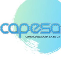 Capesa Comercializadora S.A de C.V logo - Similar company to Imet & Capesa