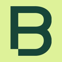 Bring Digital logo - Similar company to Cube3